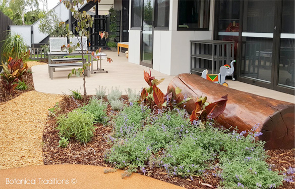 BotanicalTraditions_Landscape Design_Early Childhood